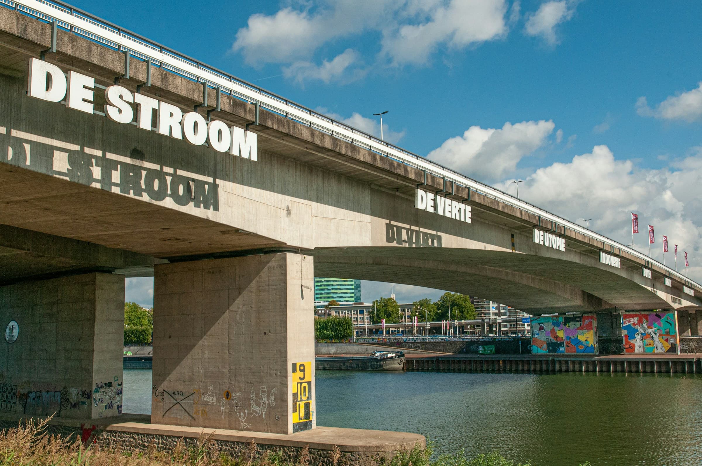 Nelson Mandela bridge with Art
